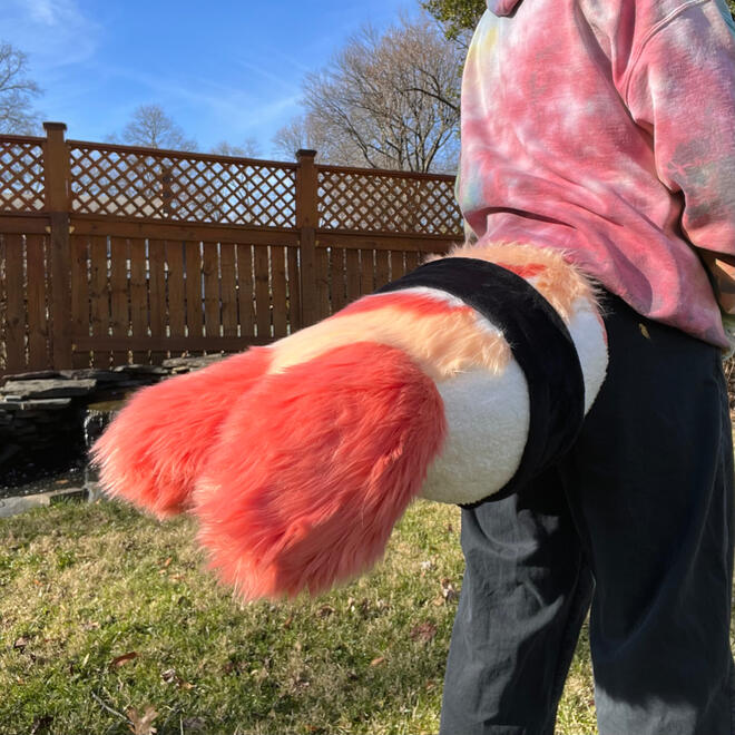 Sushi Shrimp Tail Sushi Shrimp Tail