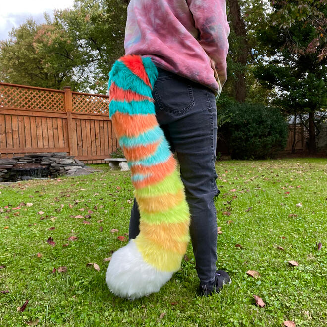 Tropical Tiger Tail 2